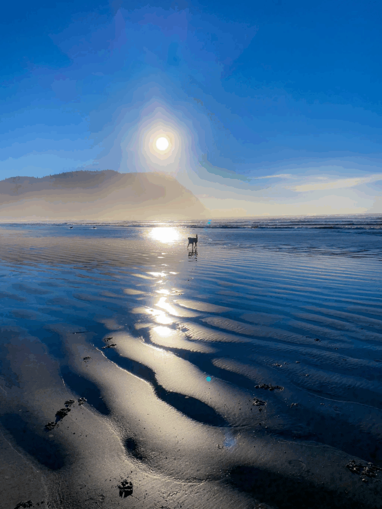 Manzanita Beach, Oregon